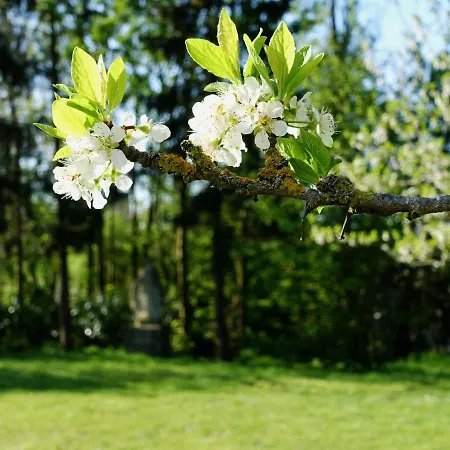 Oda ve Kahvaltı Les Premontres