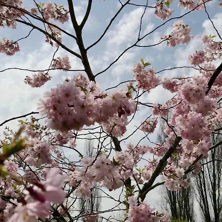 Les Premontres Panzió 3*