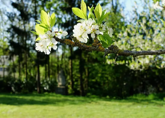 Oda ve Kahvaltı Les Premontres