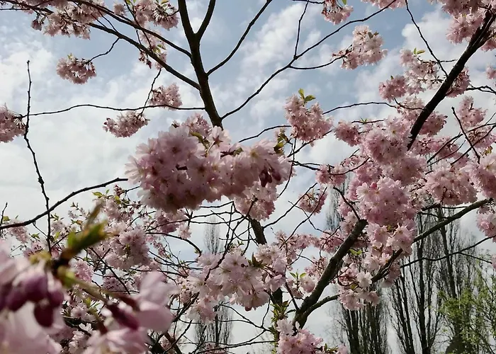 Les Premontres Отель типа 